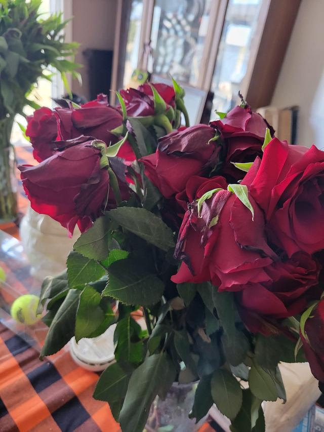 Bunches Direct - 2