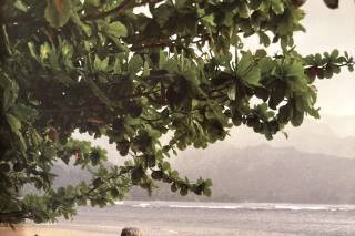 Oahu Island Weddings - 39