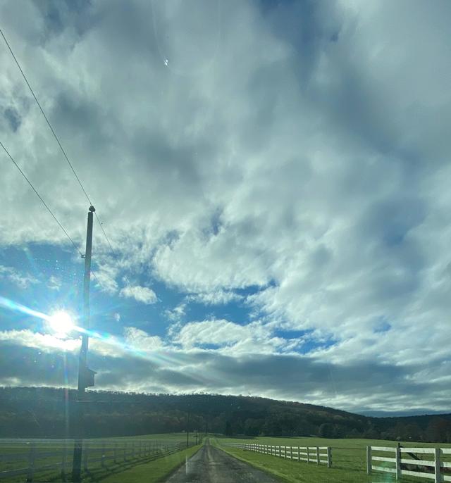 Heigh Torr Estate - 2