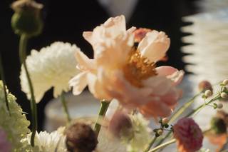 Cm - Wedding Consultant & Events - 6