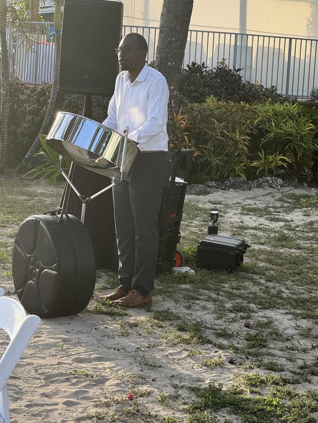 DJSteelPan - 3
