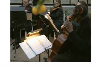 Highland Chamber Players String Quartet - 6