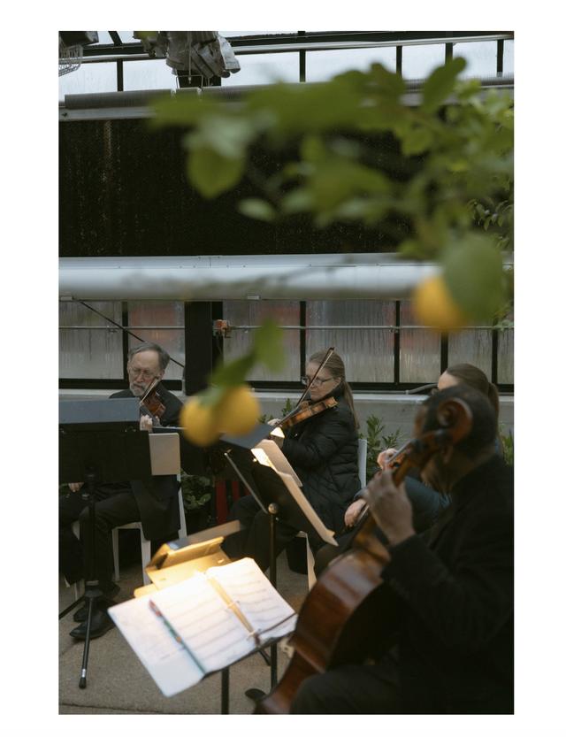 Highland Chamber Players String Quartet - 2