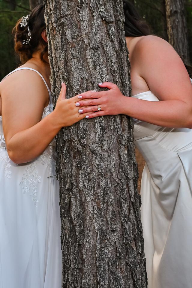 Royal Lilac Productions: Photo, Cinema, & Designs - 2