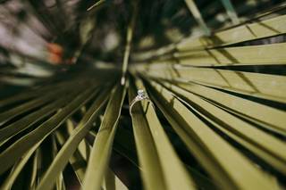 Tineli Photography - 37