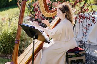 Beverly Arnold, Harpist - 13