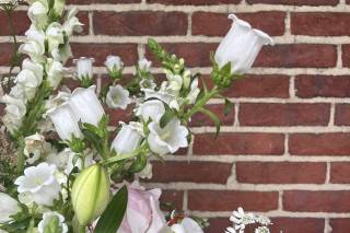Sweet Peas of Jennersville - 5