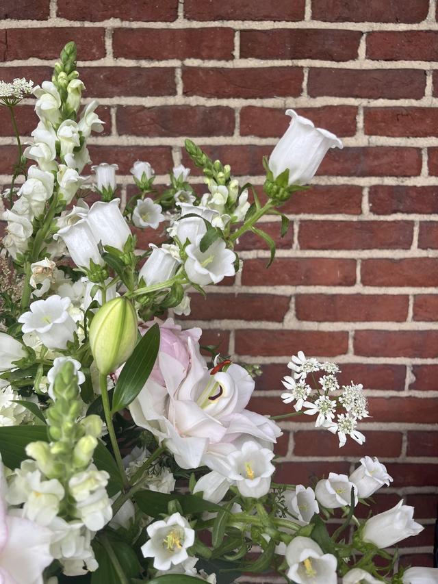 Sweet Peas of Jennersville - 2
