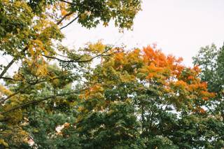 Nicole Haley Photography - 7