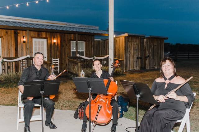 Beautiful Music & Paint It Black Quartet (Est. 1985) 3