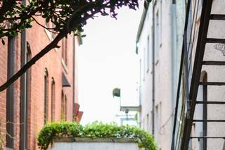 Bluff View Art District - 10