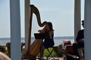 Harp Music by Alexandra Mullins - 8