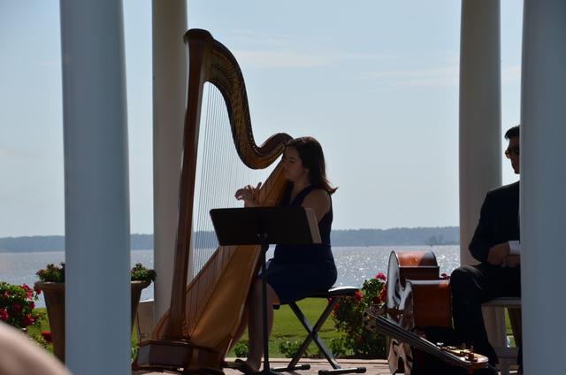 Harp Music by Alexandra Mullins - 4