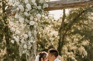 Paperbird Photography - 11