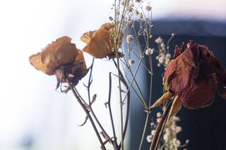 Alicia Pierce Photography - 28