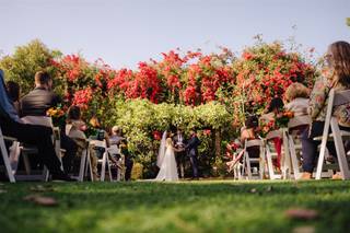 McNeile Photography - 8