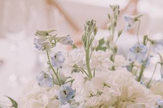 JN Floral Design - 23