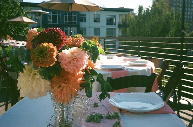 Happy Hen Gardens - 4