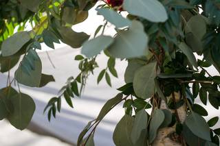 Allium Floral Design & Event Styling - 46