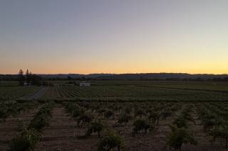Banshee Winery - 10