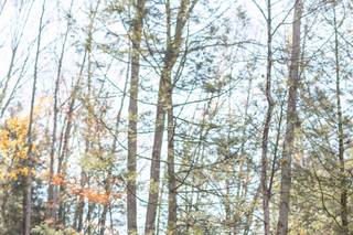 Sean Gallery Photography - 18