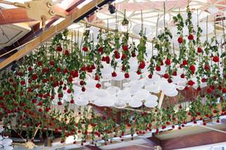 J.R Floral Designs - 5