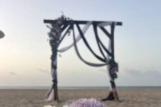 Paradise Vows PR - 6