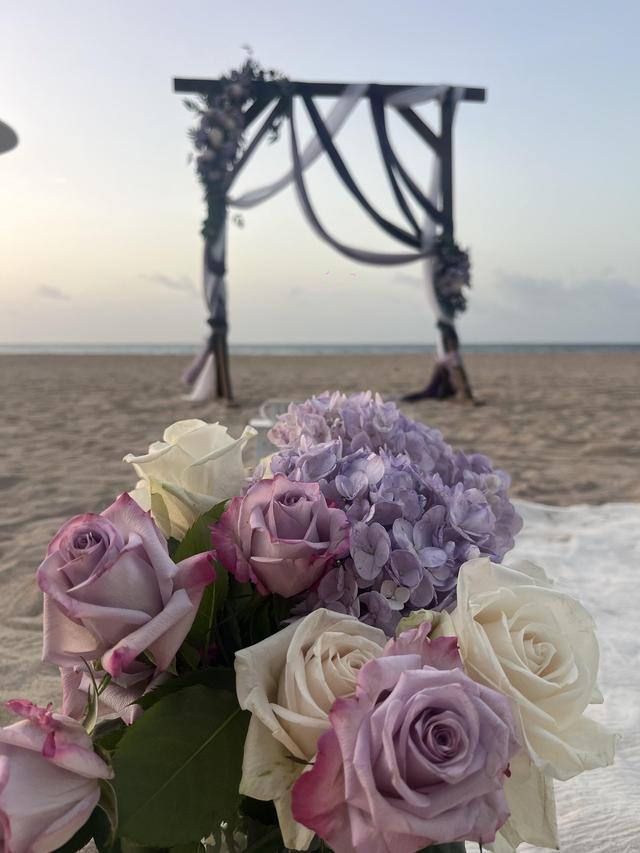 Paradise Vows PR - 2