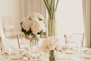 Lemonik Events - 6