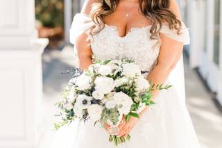 Kelly Sea Images - 9