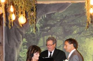 Let's Get Married Wedding Officiant - 40