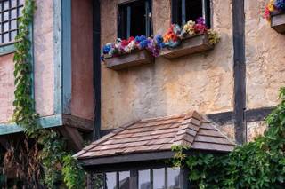 Minnesota Renaissance Festival / Mid-America Festivals - 11