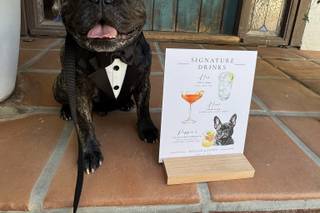 I Dog Too - Wedding Pet Attendant - 11