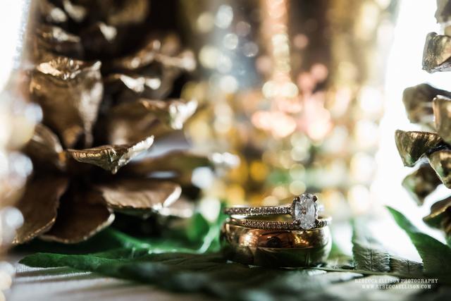Rebecca Ellison Photography - 3