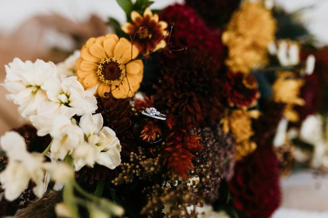 Alyssa Pearl Photography - 4
