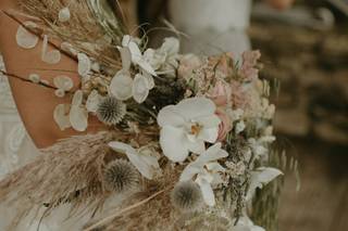 Shady Grove Gardens & Nursery - 19