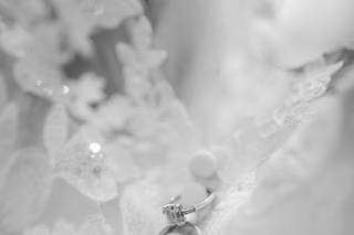 Ashley Krug Photography - 9