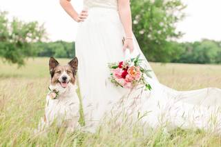 Michelle Rice Photography - 26