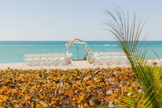 Plan My Beach Wedding - 8