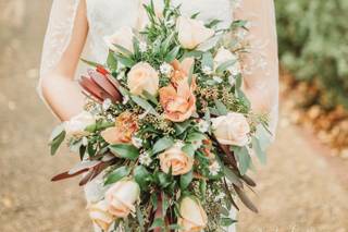 Evergreen Beauty - 58