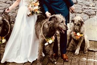 Eloping in Ireland - Destination Wedding Planner in Ireland - 10