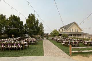 Ella's Vineyard - 20