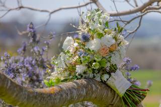 Vanda Floral Design - 22