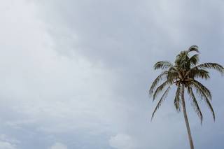 Beyond The Horizon Travel Agency - 7