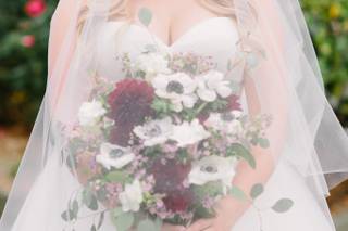 B Hull Photography - 5