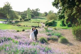 Elizabeth Burgi Photography - 9