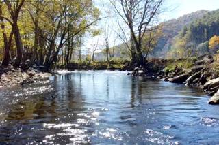 The Retreat at Hiawassee River - 22
