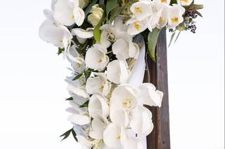 Stephanie Nicole Events - 14
