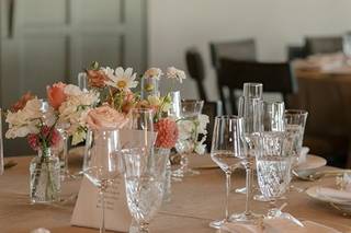 Ventura Rental Party & Events - 6