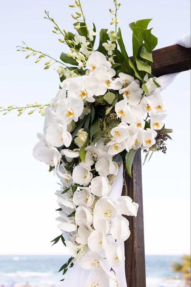 Stephanie Nicole Events - 2